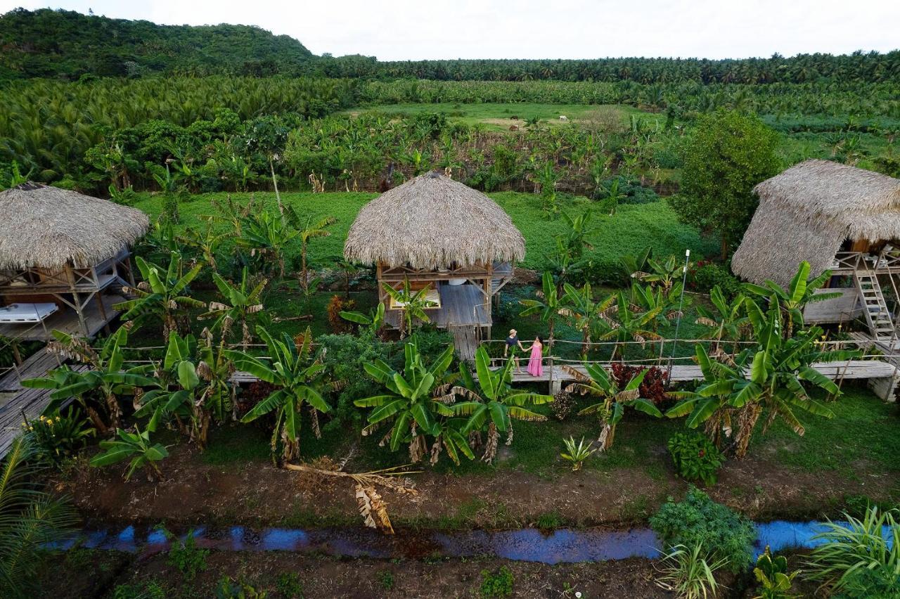 Samana Ecolodge El Limon 外观 照片