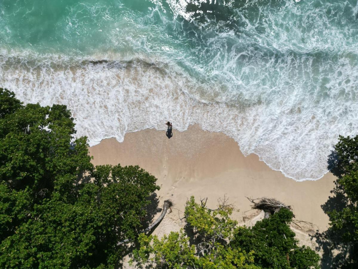 Samana Ecolodge El Limon 外观 照片