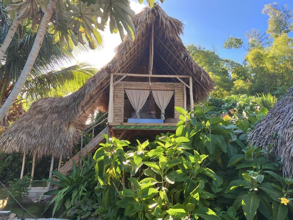 Samana Ecolodge El Limon 外观 照片