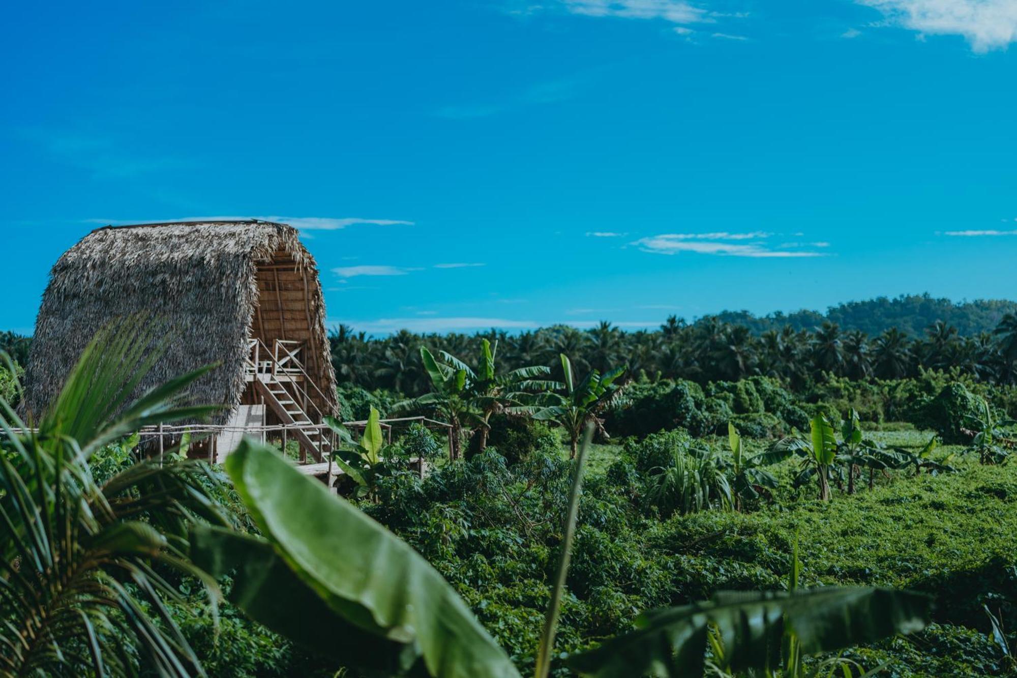 Samana Ecolodge El Limon 外观 照片